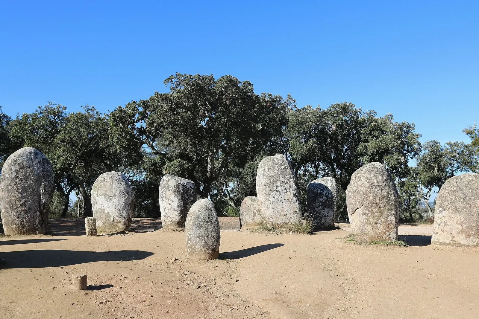 Standing stones of the Almendres Cromlech with a cork oak behind them, west of Évora