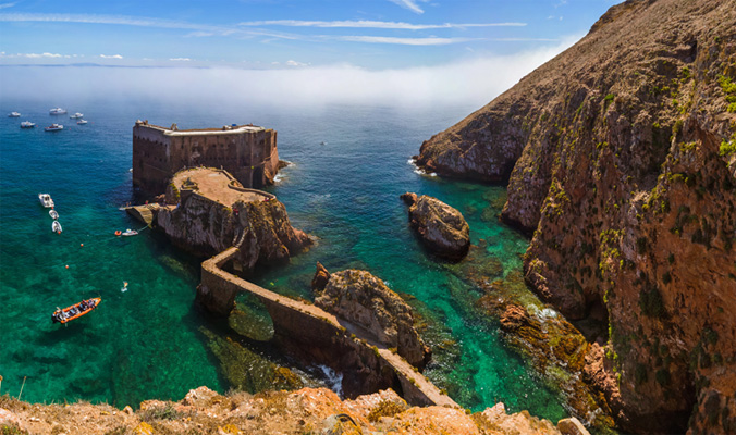 Berlengas private tour in Portugal