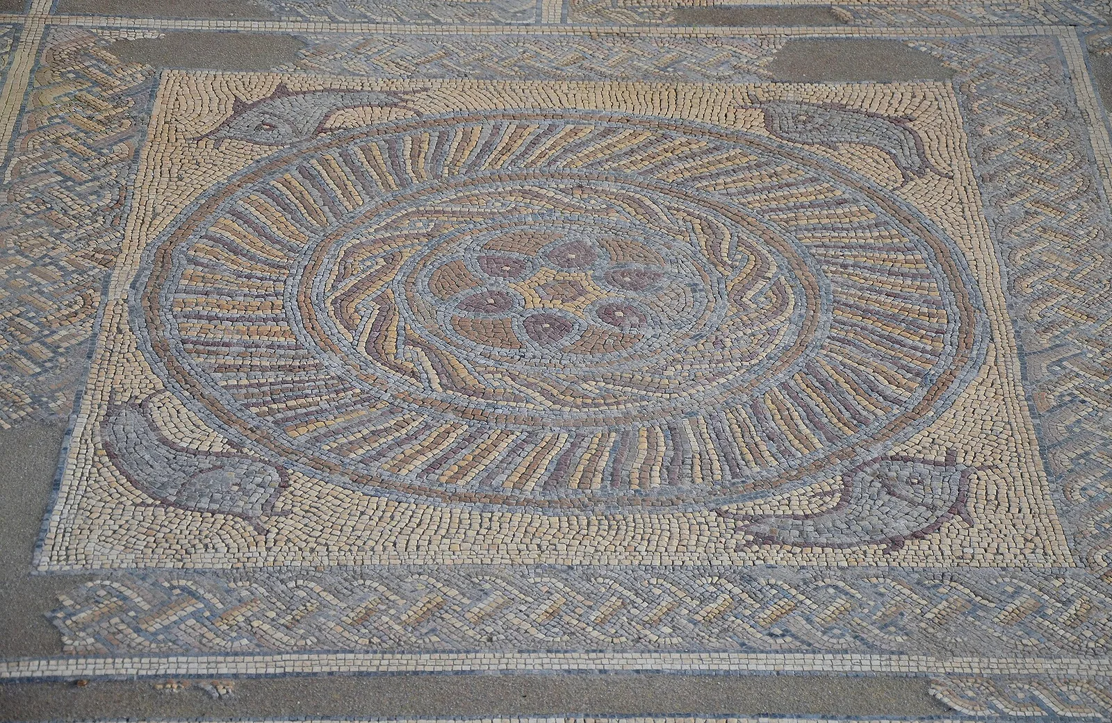 Roman mosaic floor of the House of the Fountains at Conímbriga, with a central rosette and dolphins in the corners