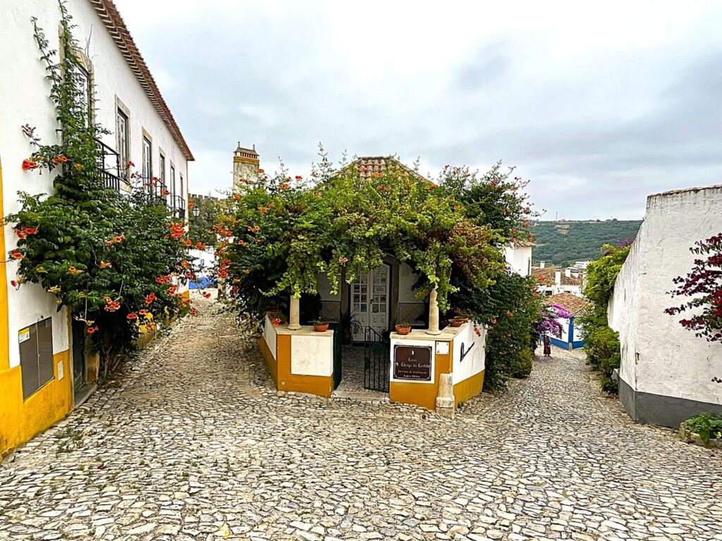 Silver Coast private tour in Portugal
