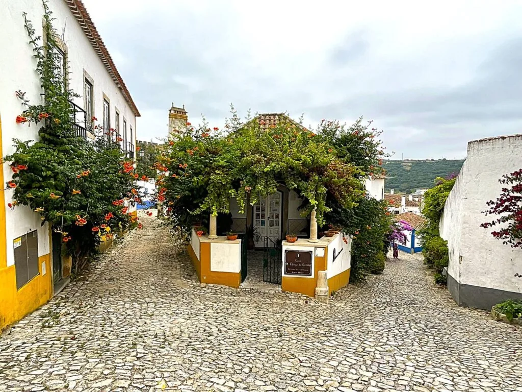 Cobbled street with bougainvillea inside the walls of Óbidos