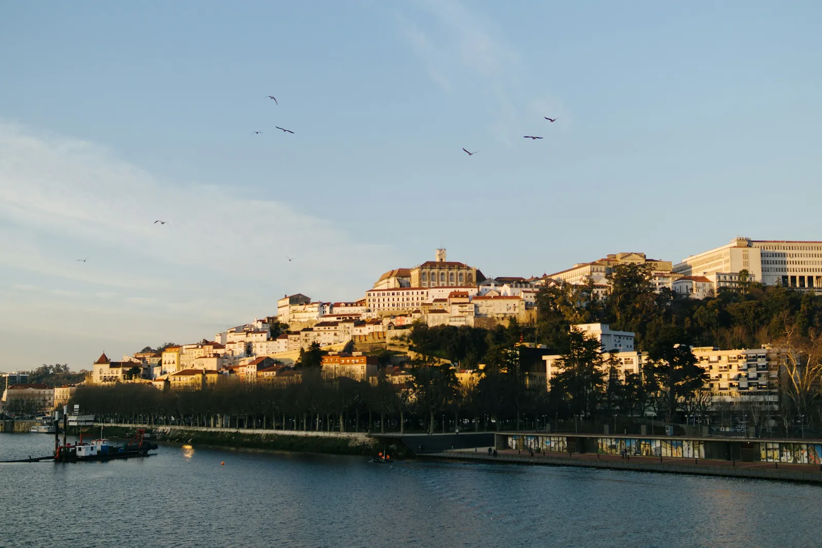Coimbra and the university on the hill above the Mondego river